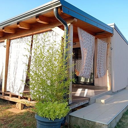 Nature Home Eco-Friendly Pet-Friendly Fažana Kültér fotó