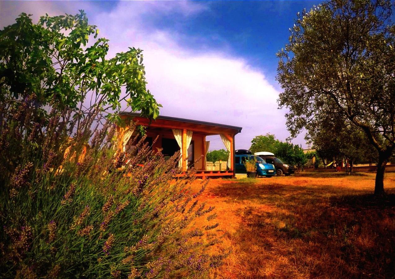 Nature Home Eco-Friendly Pet-Friendly Fažana Kültér fotó