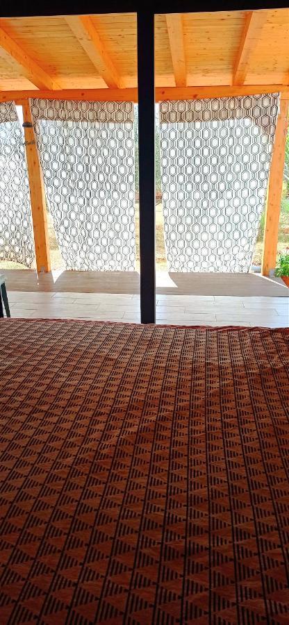 Nature Home Eco-Friendly Pet-Friendly Fažana Kültér fotó